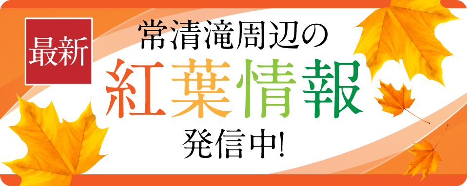 【最新の紅葉情報】常清滝周辺