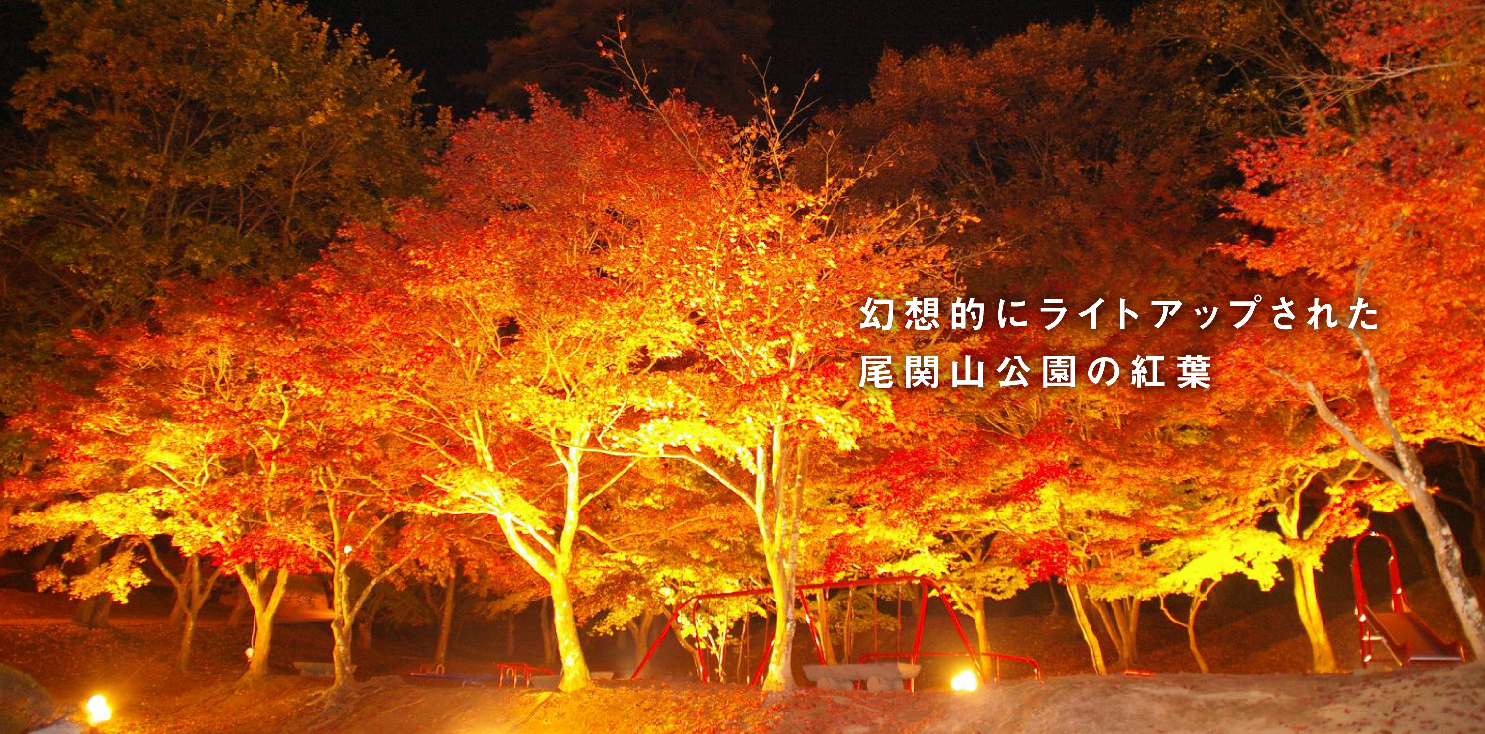 三次市三次町 尾関山公園ライトアップ 三次市観光 Walk Round Miyoshi みよし観光まちづくり機構公式ウェブサイト 広島県三次市